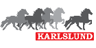 Karlsund logo